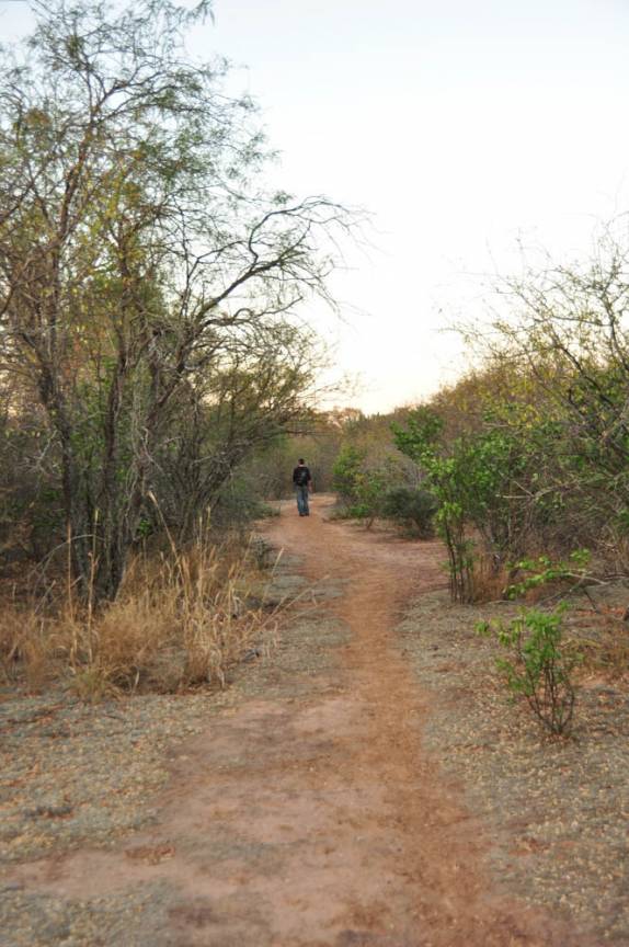 Caminhando no Parque Nacional Ten, Agripino Enciso, em La Patria, no noroeste do Chaco - Paraguai